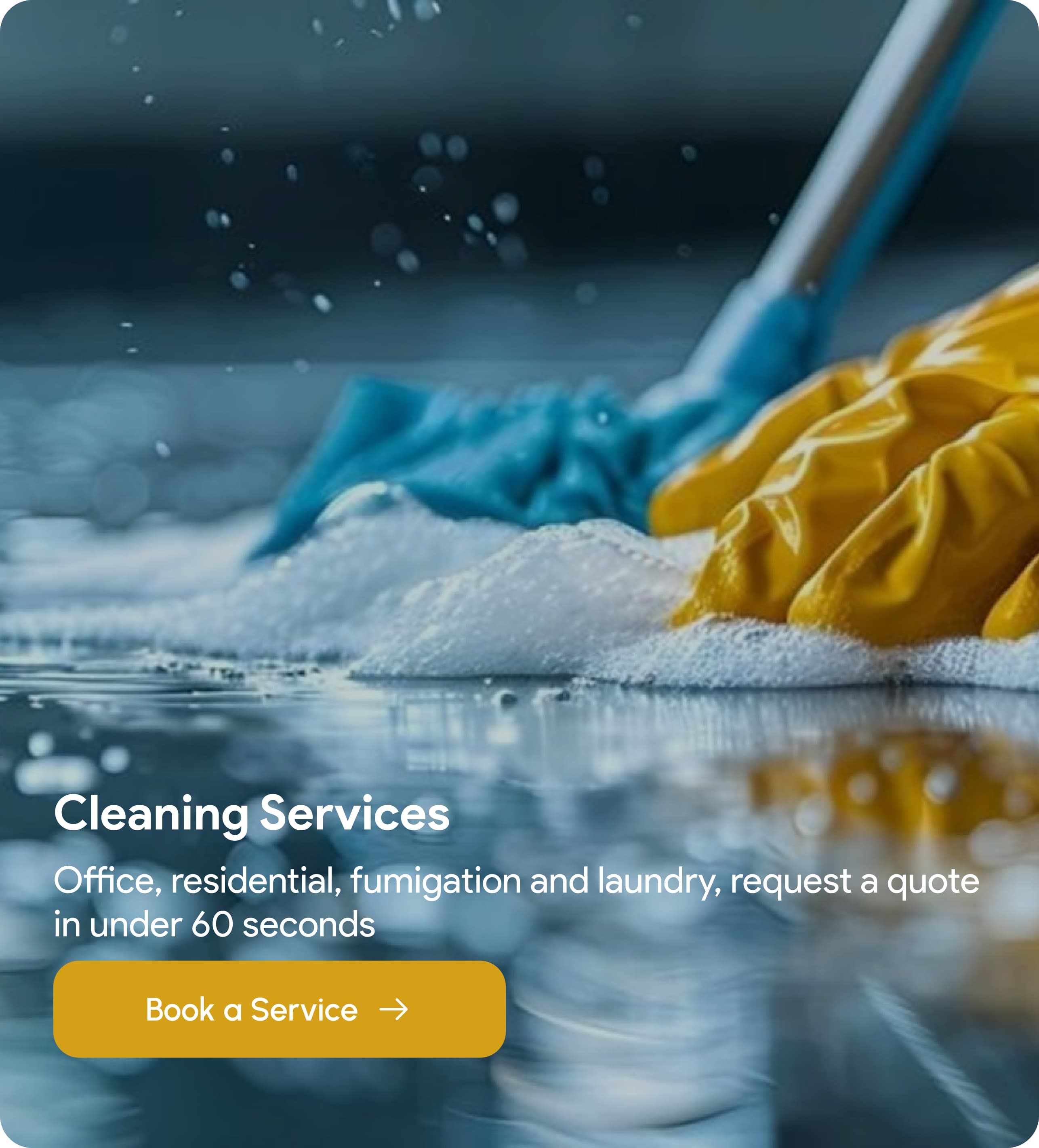 Professional cleaning by Daniliya